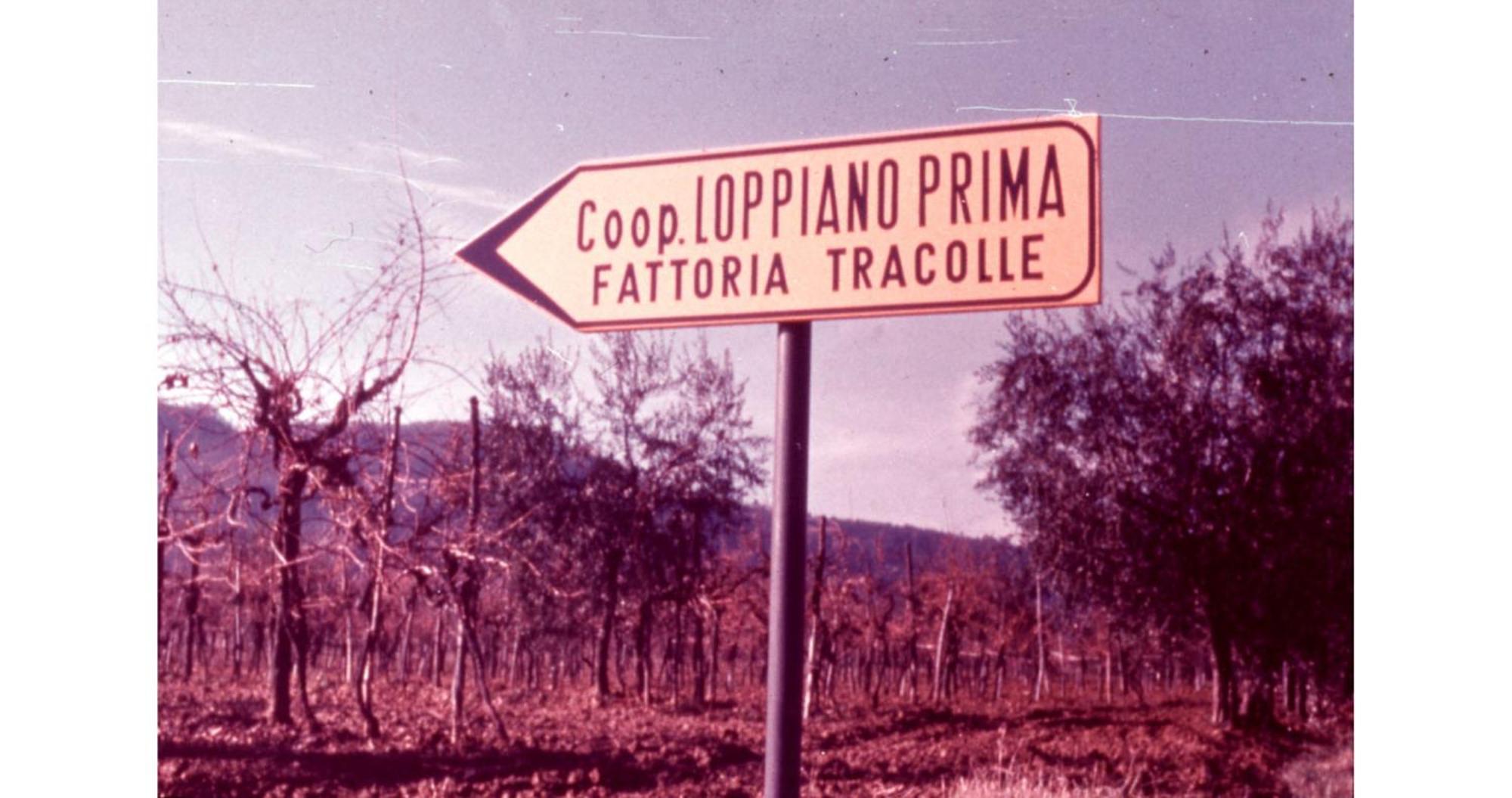 VivajoAgriturismo Fattoria Di Loppiano Regina Mundi别墅 外观 照片