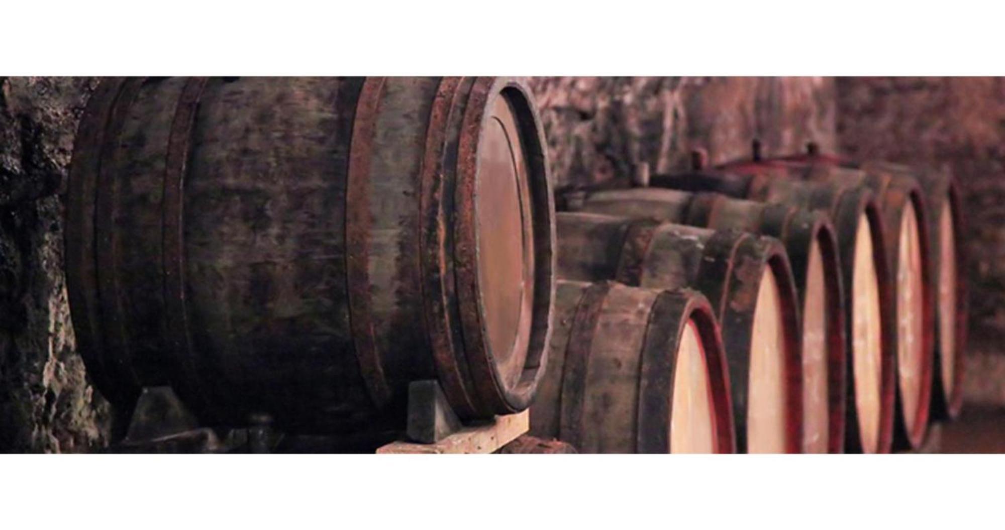 VivajoAgriturismo Fattoria Di Loppiano Regina Mundi别墅 外观 照片