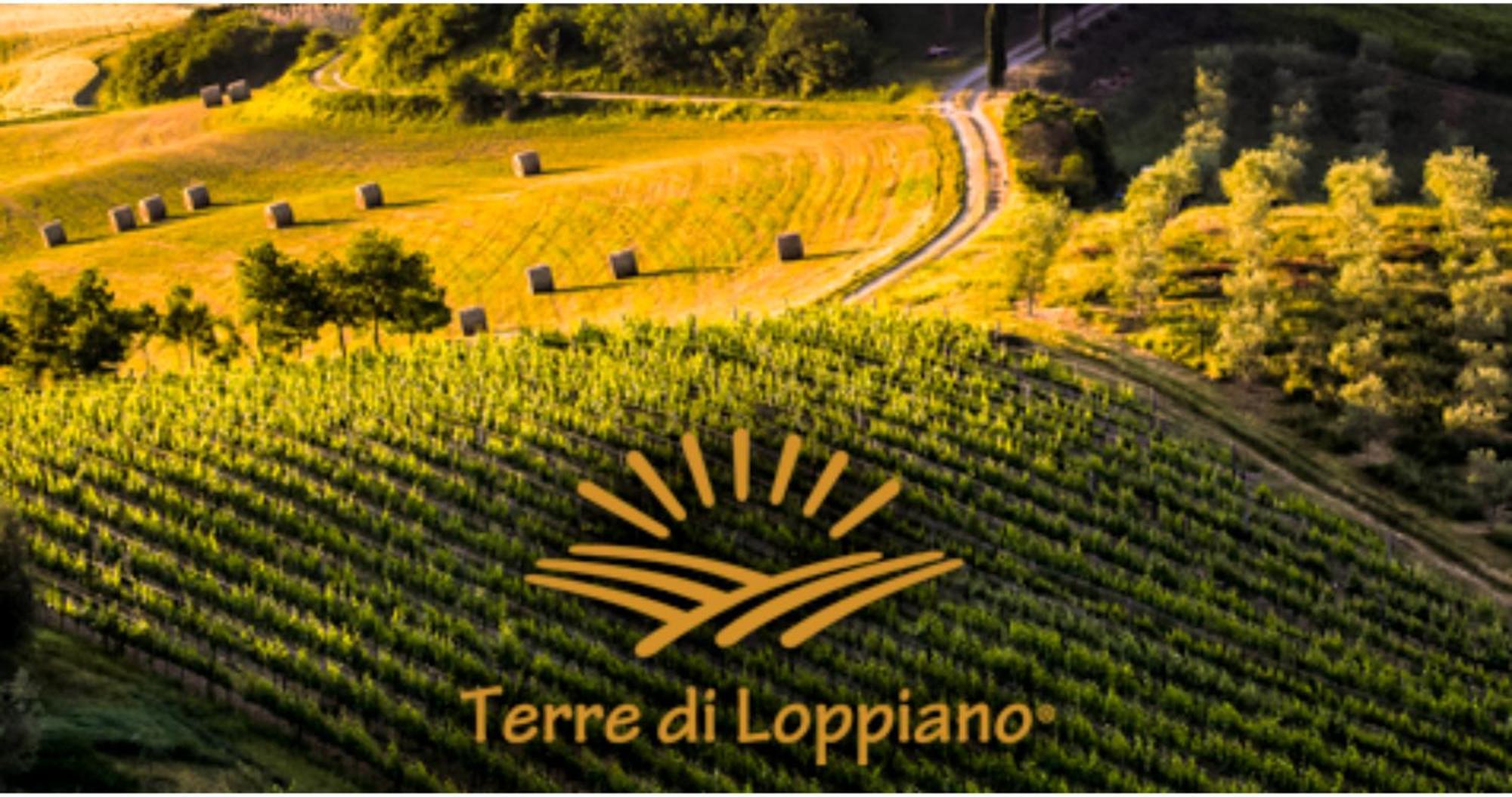VivajoAgriturismo Fattoria Di Loppiano Regina Mundi别墅 外观 照片